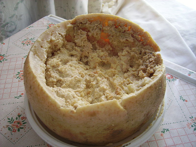 casu-marzu