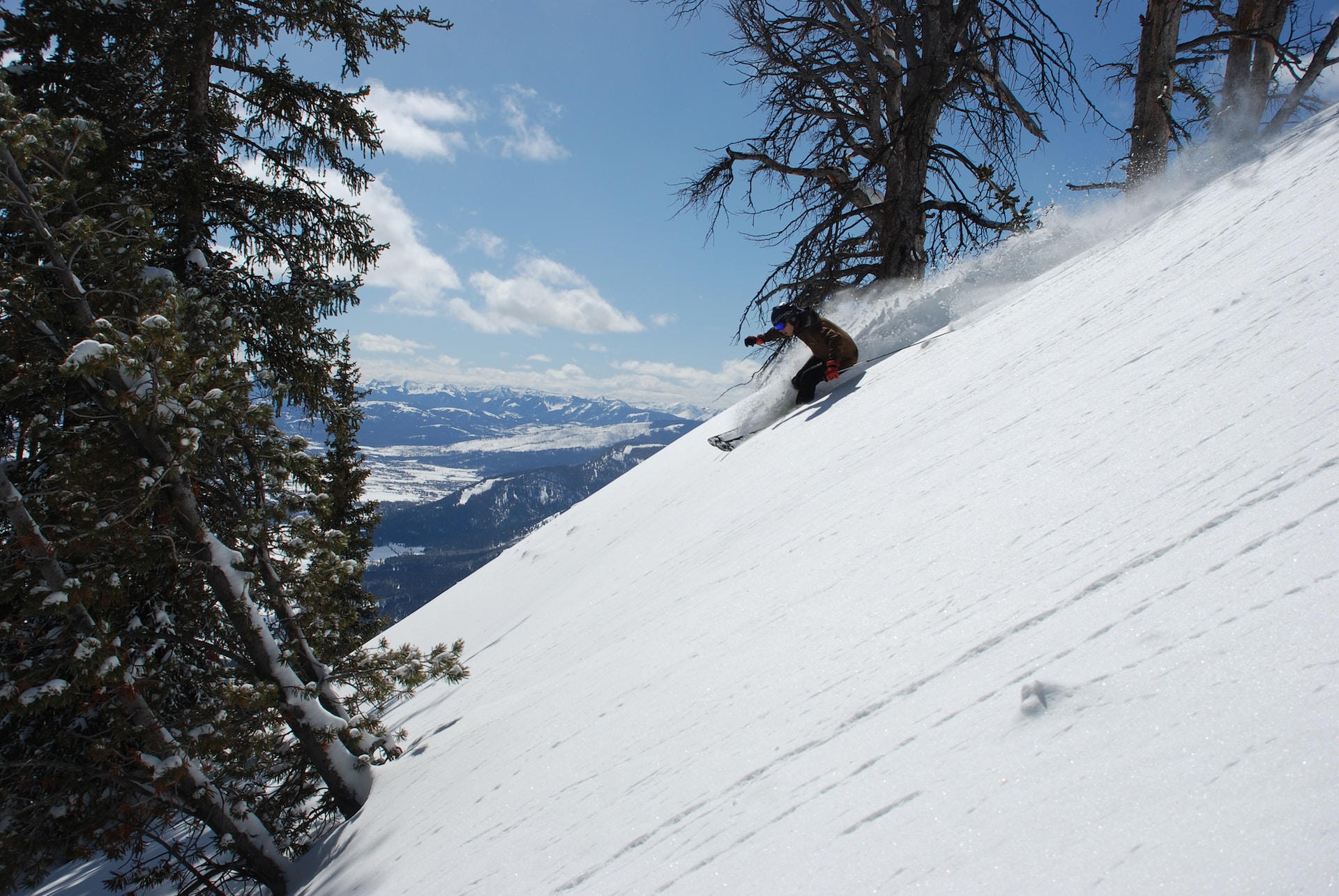 Skifahrer fährt einen schneebedeckten Hang hinab