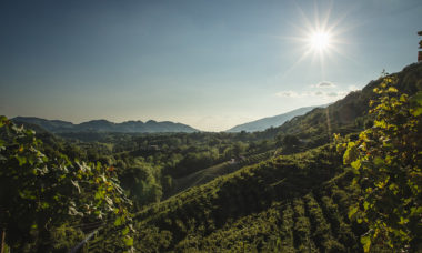 Prosecco-Landschaft