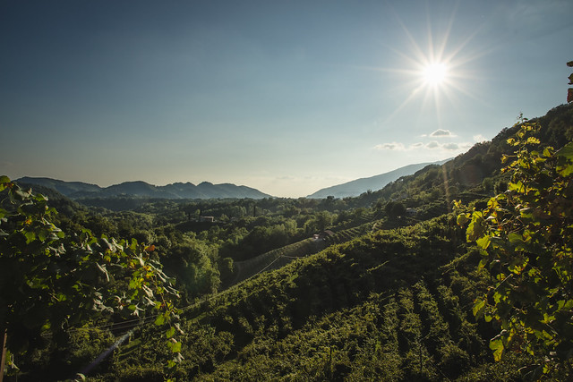 Prosecco-Landschaft